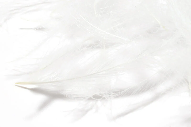 1 Gram Bulk Pack CDC - Image 9