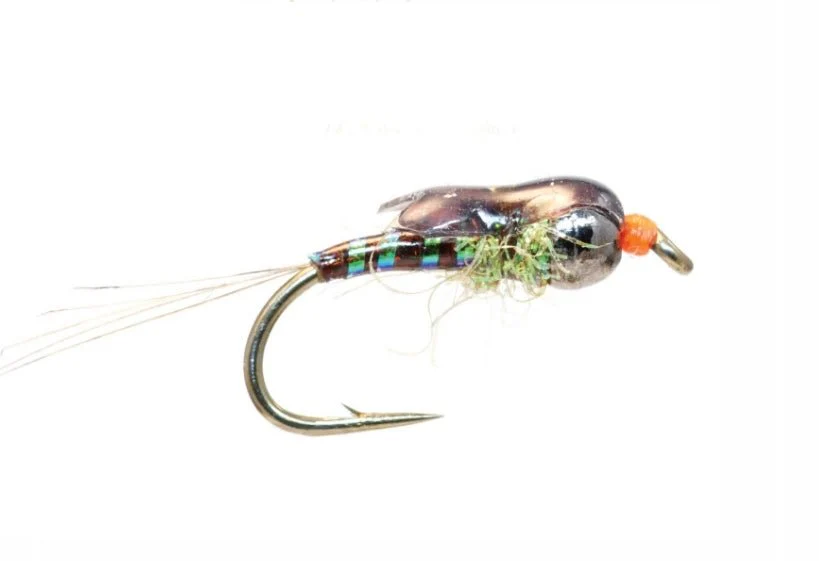 Aero Baetis - Image 3