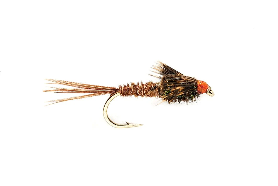 American Pheasant Tail - Image 3