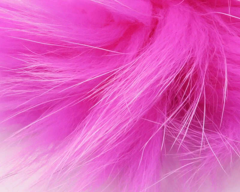 Arctic Fox Body Hair - Image 7