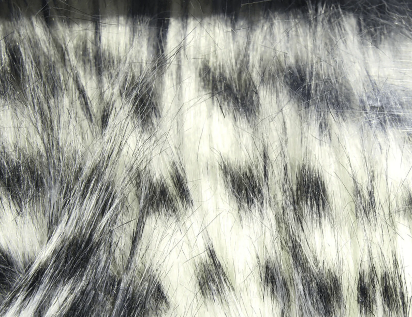 Barred Pseudo Hair - Image 5