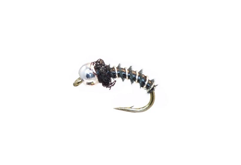 Biot Pupa - Black/Silver - Image 3