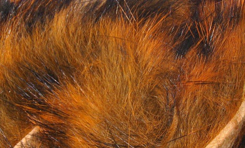 Black Barred Rabbit Strips - Image 18