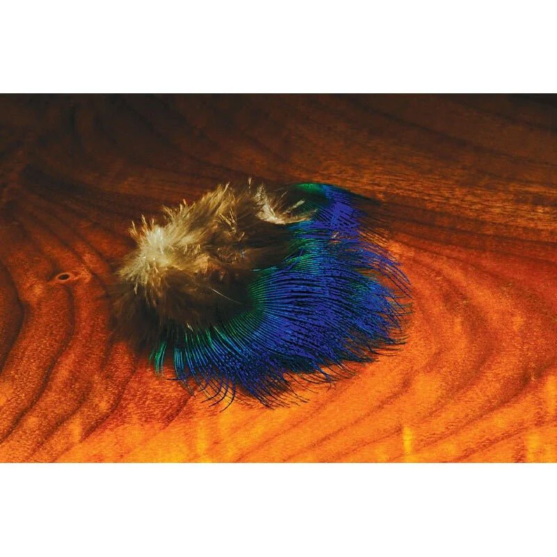 Blue Peacock Feathers - Image 2