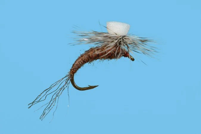 Brook's Sprout - Callibaetis - Image 3
