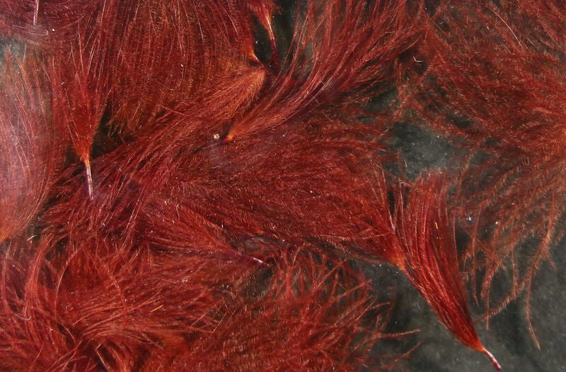 CDC Oiler Puffs - Image 15