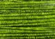 Chenille - Medium - Image 21