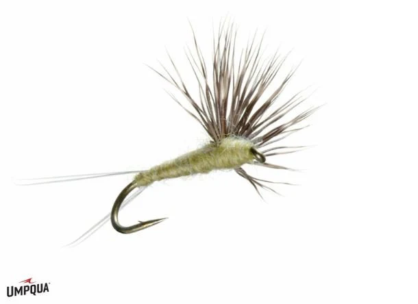 Comparadun - PMD - Image 3