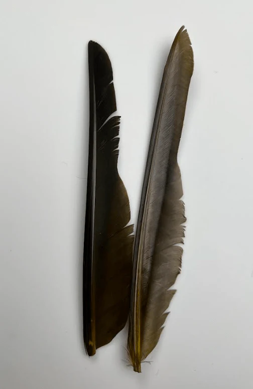 Canada Goose Biot Quills - Image 11