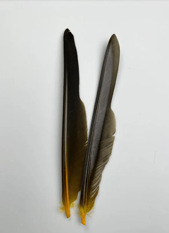 Canada Goose Biot Quills - Image 16
