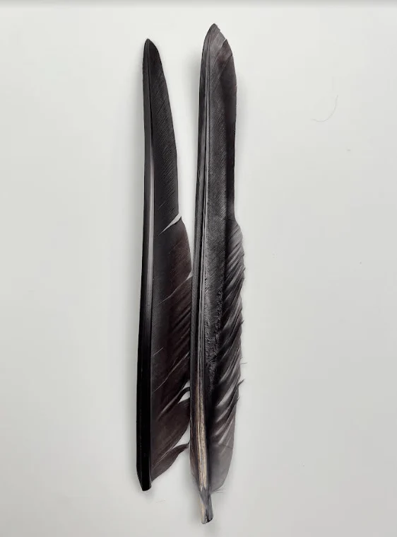 Canada Goose Biot Quills - Image 4