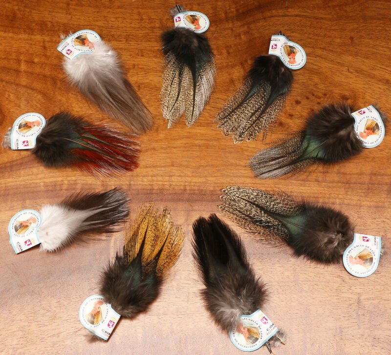 Coq De Leon - Hareline - Image 3