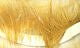 Crosscut Rabbit Strips - Image 26