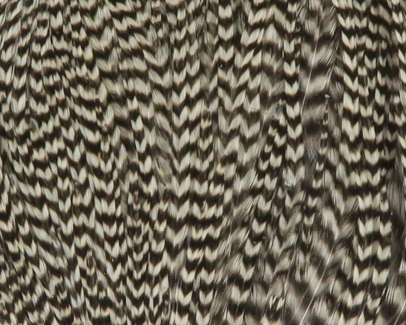 Dry Fly Neck Chunks - Image 3