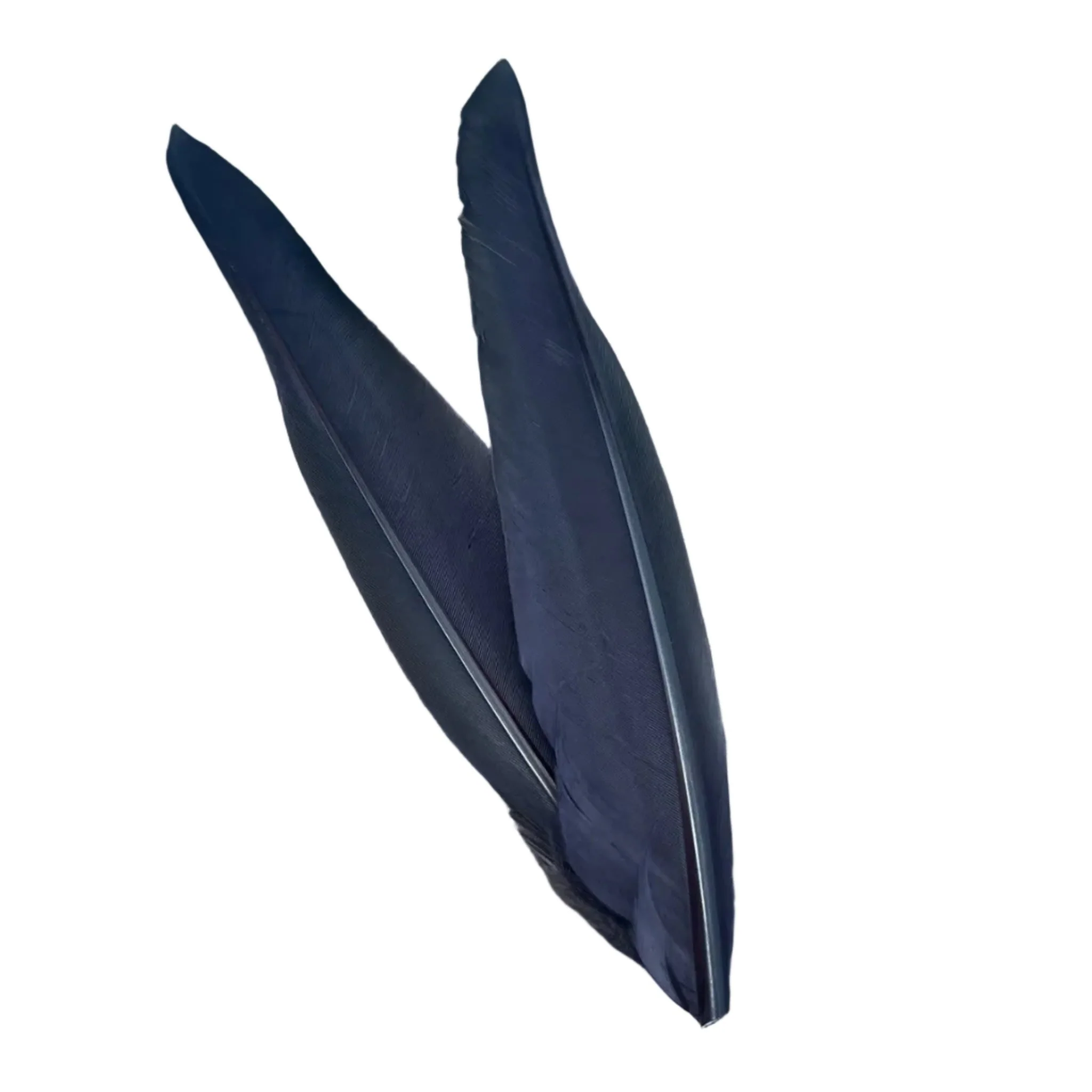 Duck Quills - 2 Pair - Image 9