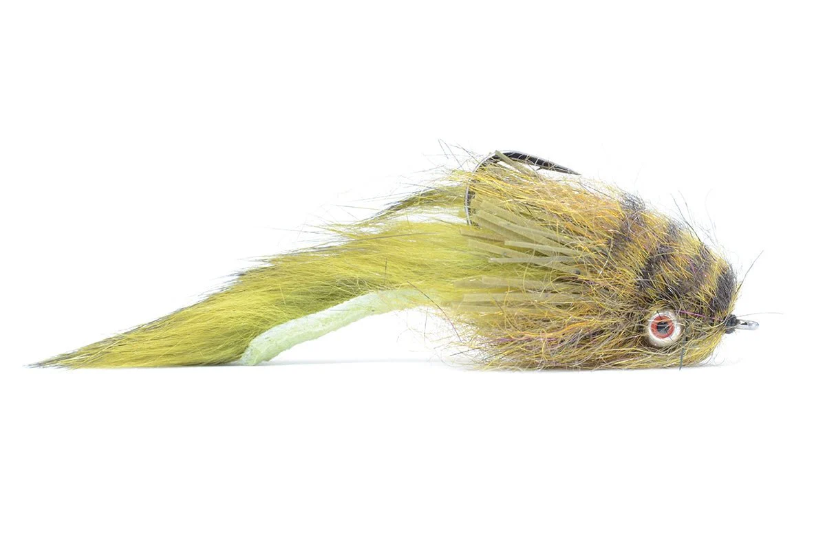 El Sculpito Olive - Image 3
