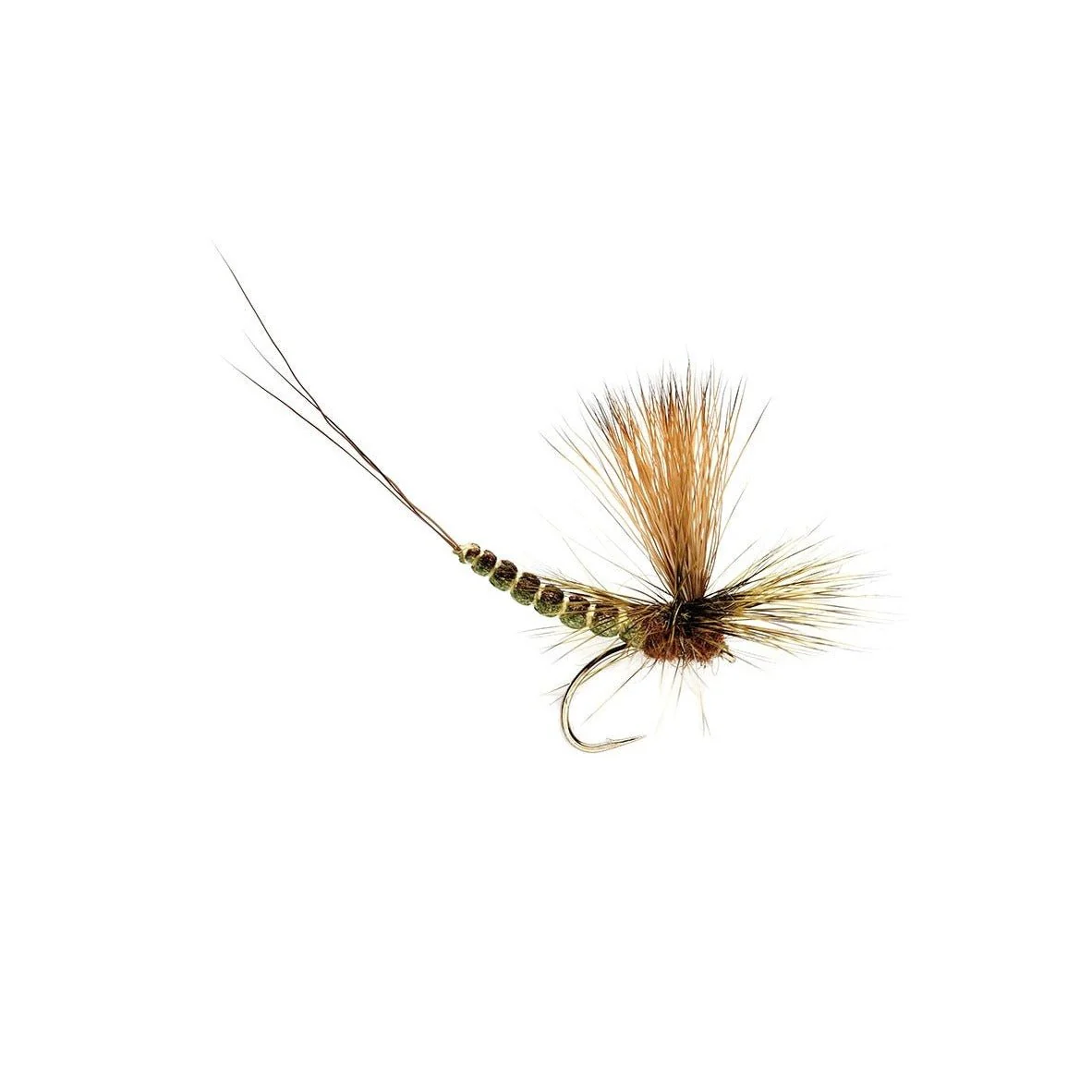 Extended Body Paradrake - Image 2