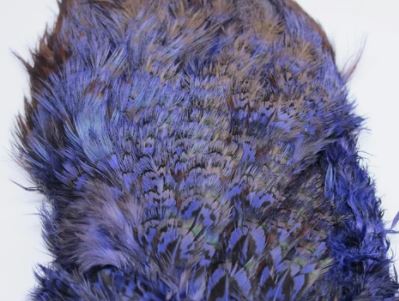 Fish Hunter Ringneck Pheasant Rump Patch - Image 6