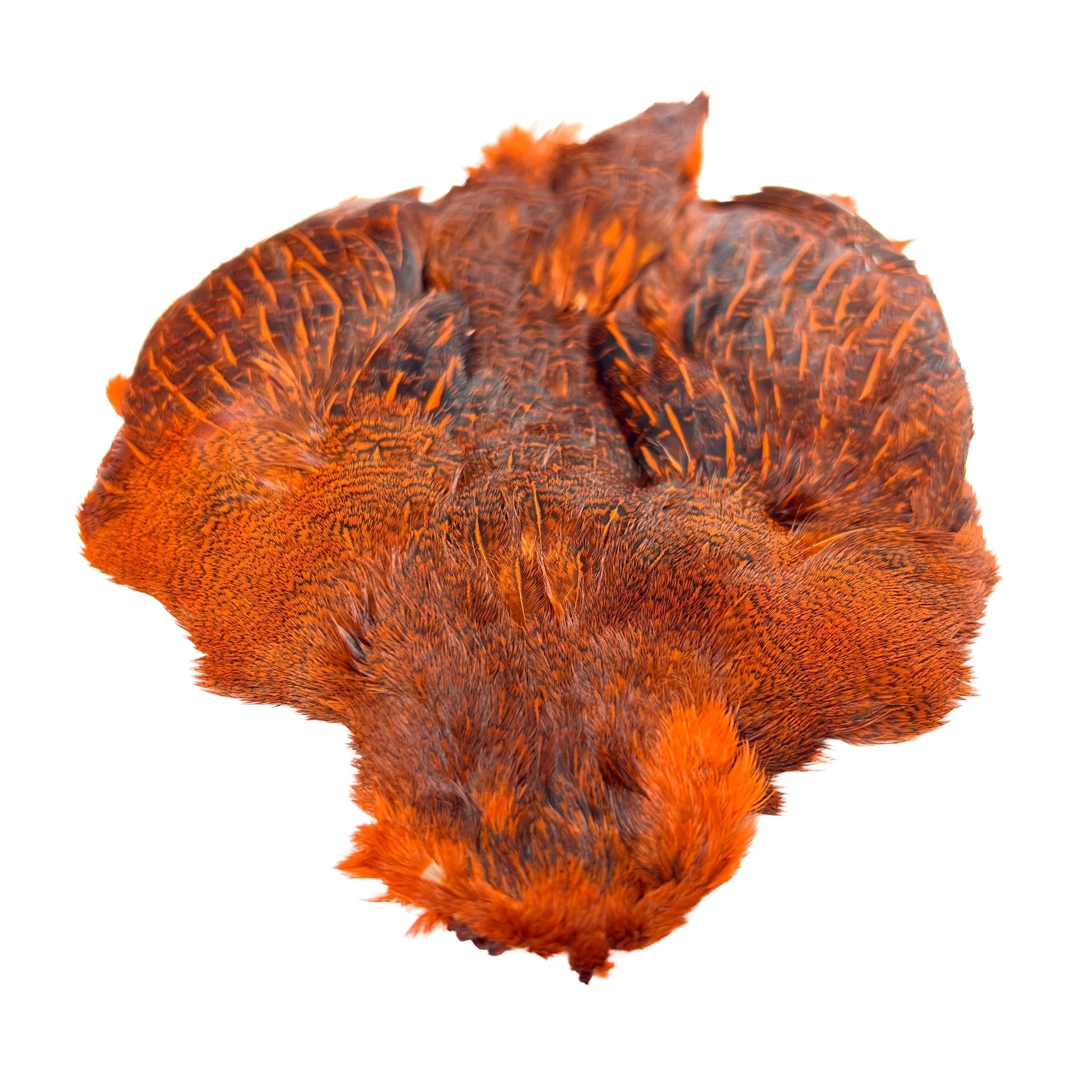 Dyed Hungarian Partridge - Full Pelt - Grade #1 - Image 3