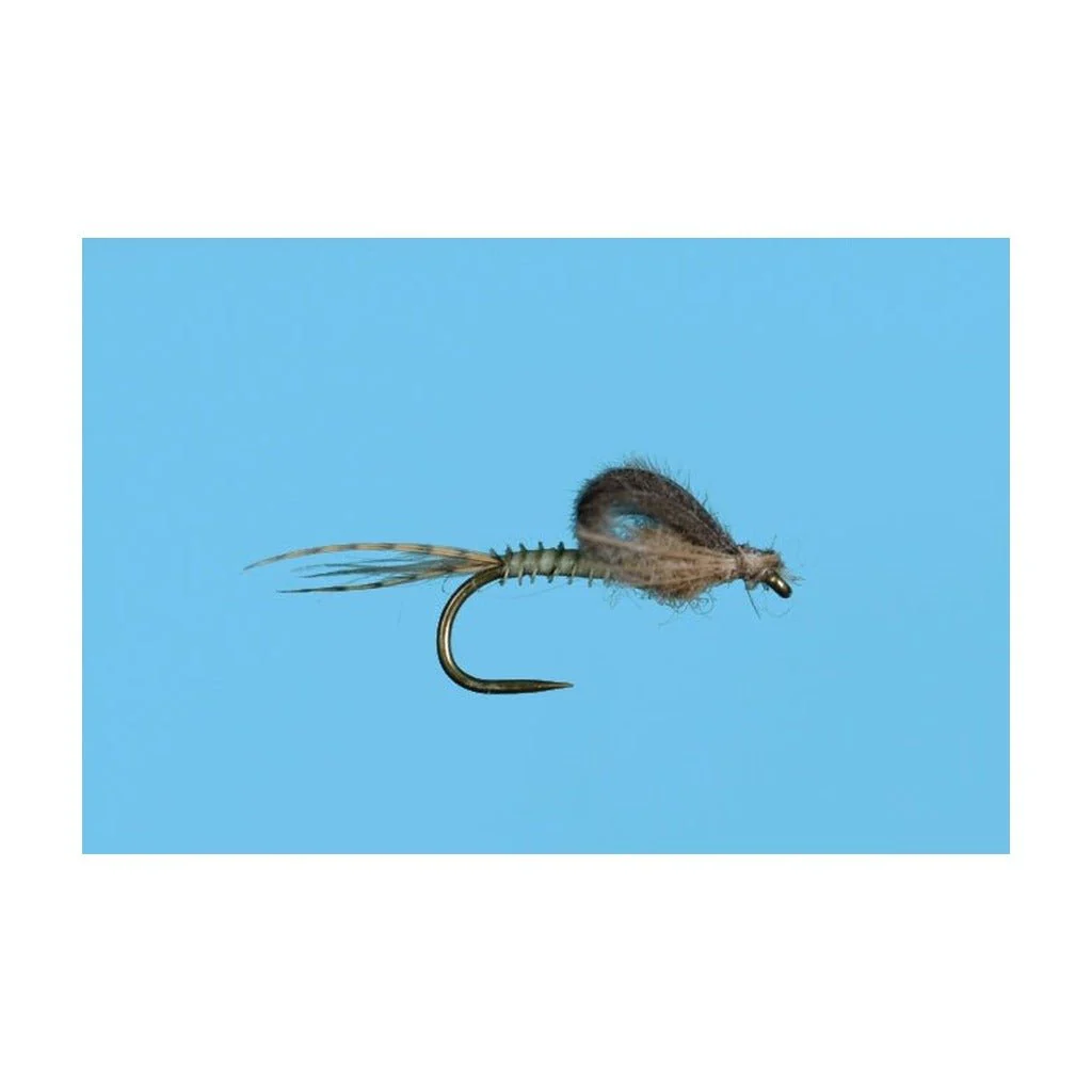 Harrop's Captive Dun - Callibaetis