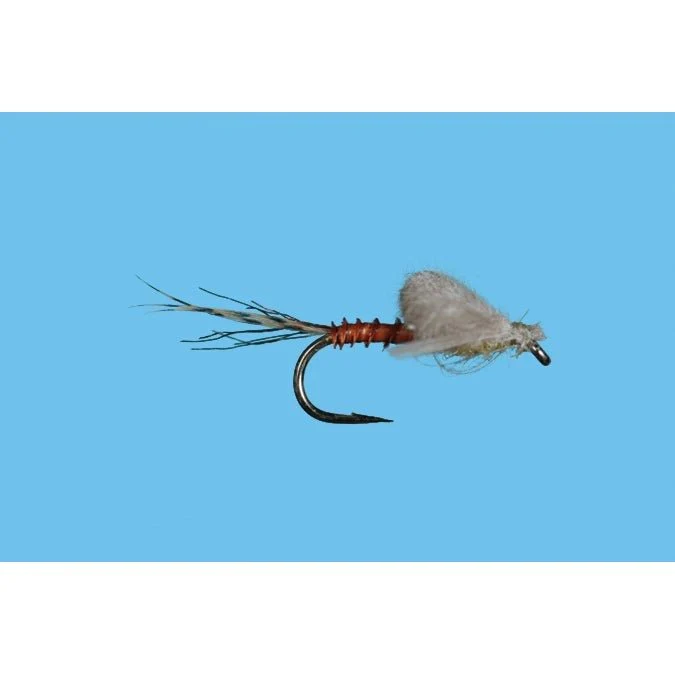 Harrop's Captive Dun - PMD - Image 2
