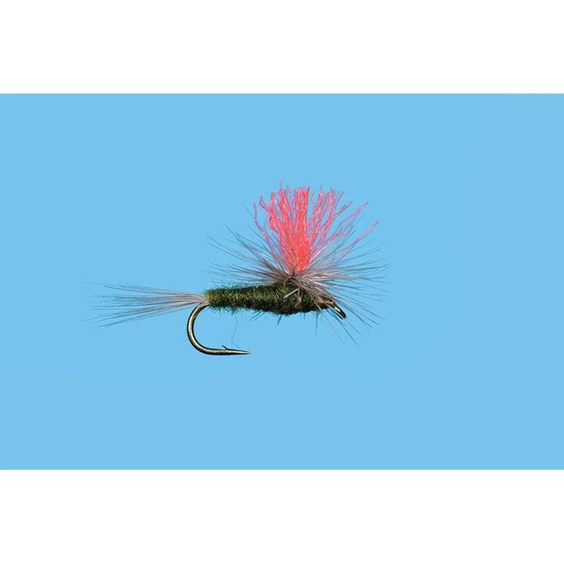 Hi-Vis BWO - Image 2