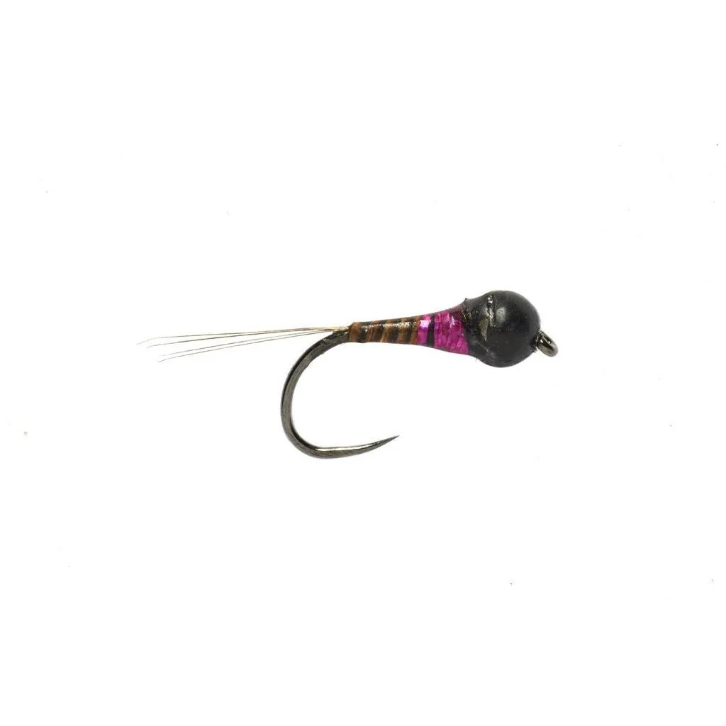 Holo-Point Purple - Image 2