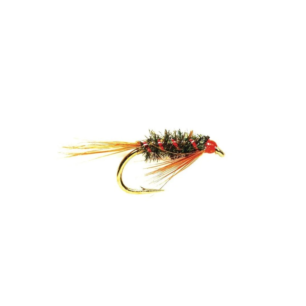 Hot Head Diawl Bach - Image 2