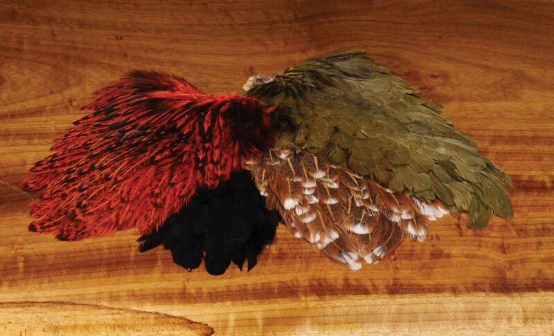 India Hen Back - Image 2