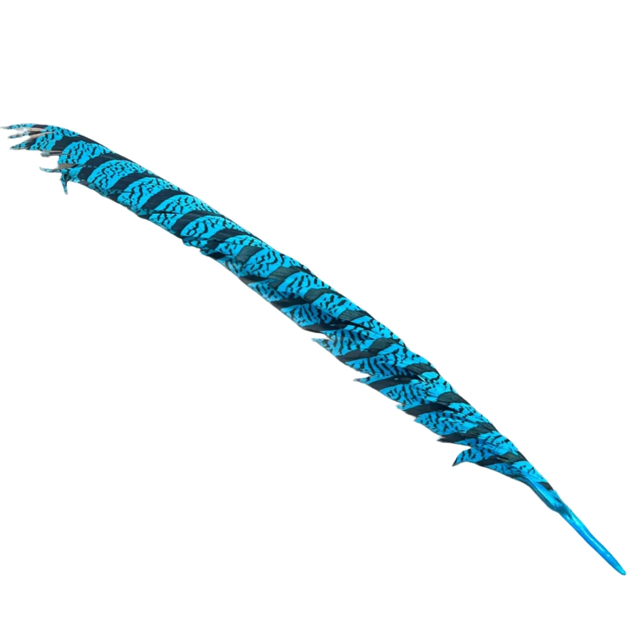 Lady Amherst Center Tail - Halfs - Image 4