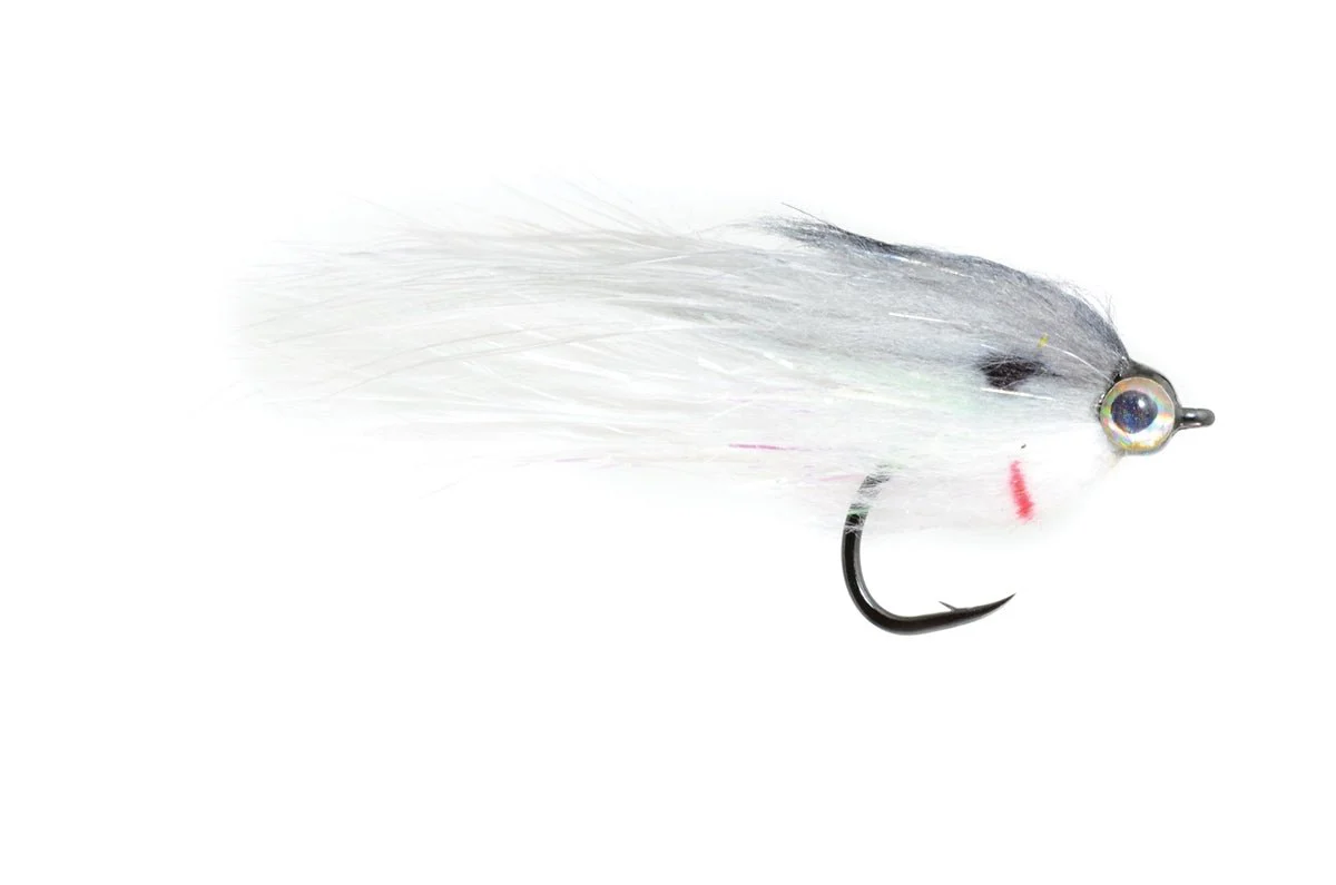 Low Fat Minnow Shad - Image 3