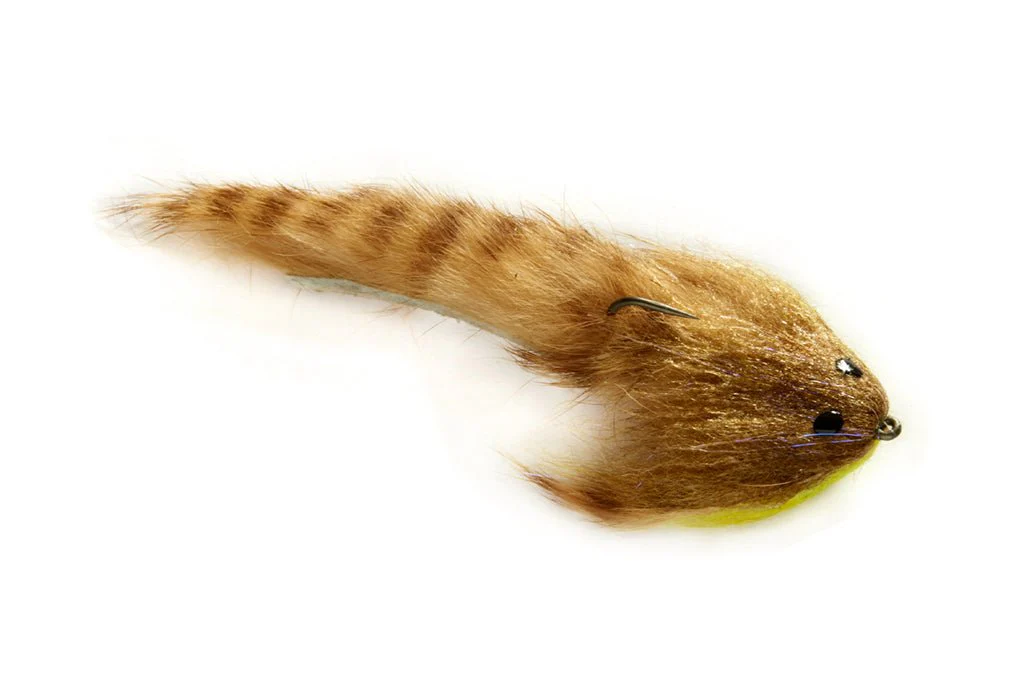 Low-Fat Sculpin - Ginger - Image 3