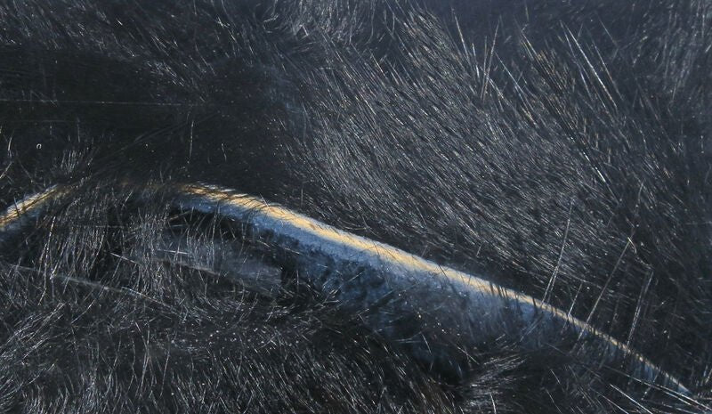 Magnum Rabbit Strips - Image 6