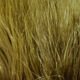 Hareline Marabou Blood Quills - Image 28