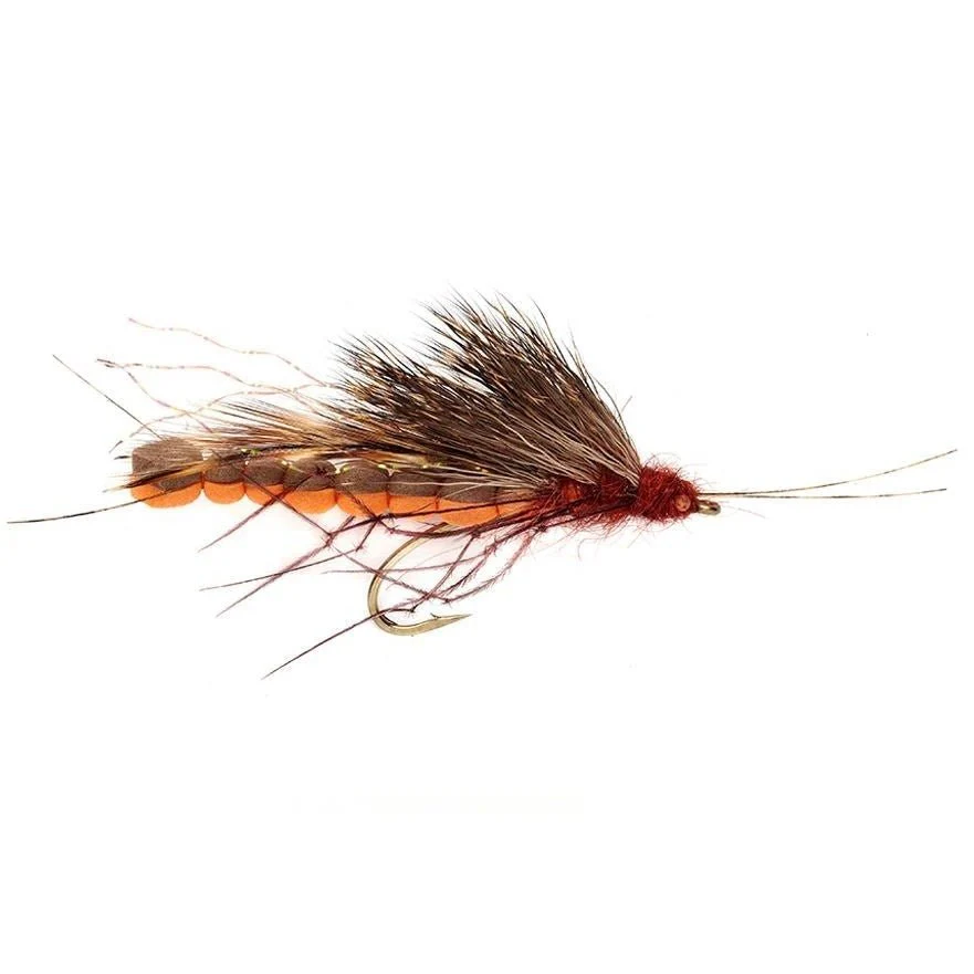 McPhail Adult Salmon Fly - Image 2