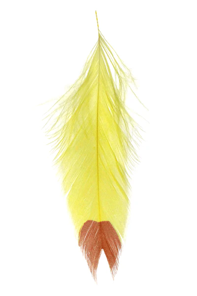 MFC - Galloup's Fish Feathers - Fin Tip - Image 5