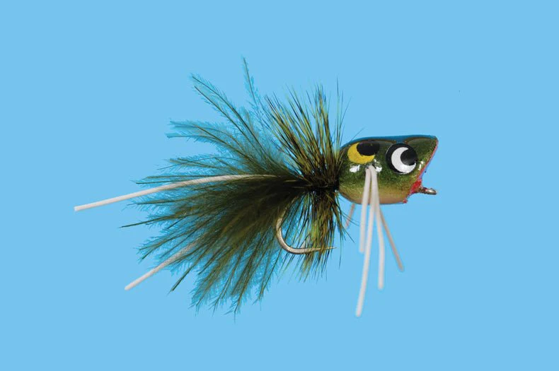 Mini Froggy - Image 3