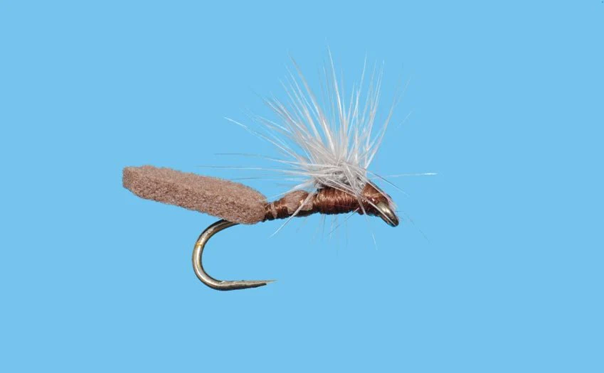 Mother Shucker - Brown - Image 3