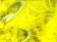 Olive Barred Rabbit Strips - Image 10