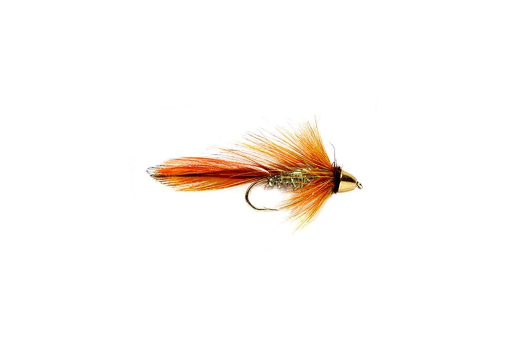 Orange Blossom Special - Image 3