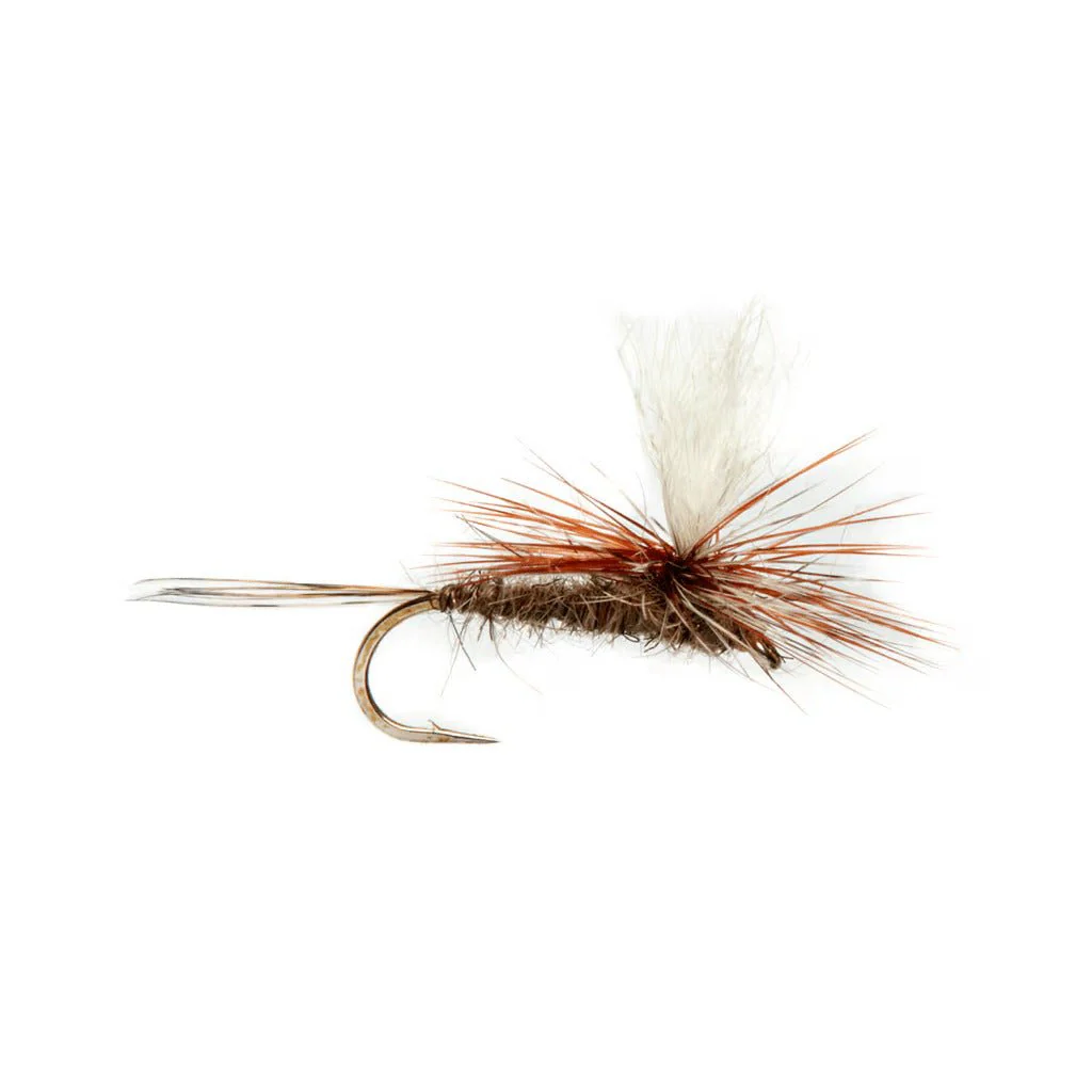 Parachute Ultra Hare Natural - Image 2