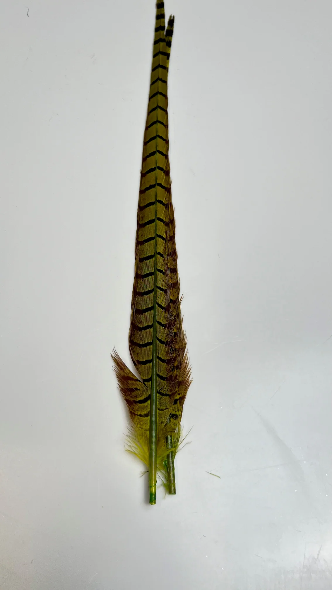 Pheasant Tail Center Pairs - Image 11
