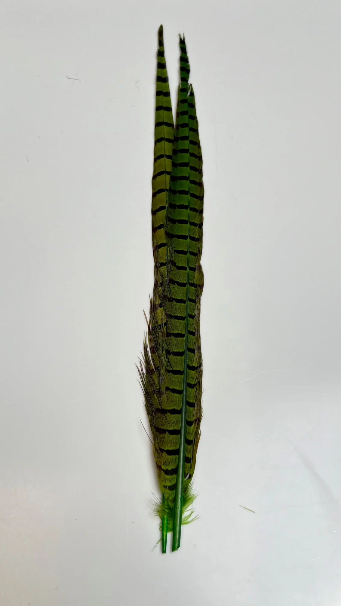 Pheasant Tail Center Pairs - Image 13