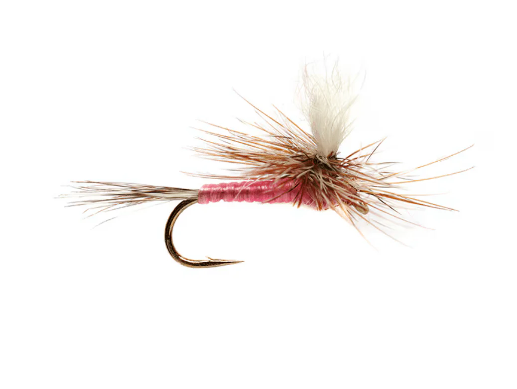 Pink Parachute Adams - Image 3
