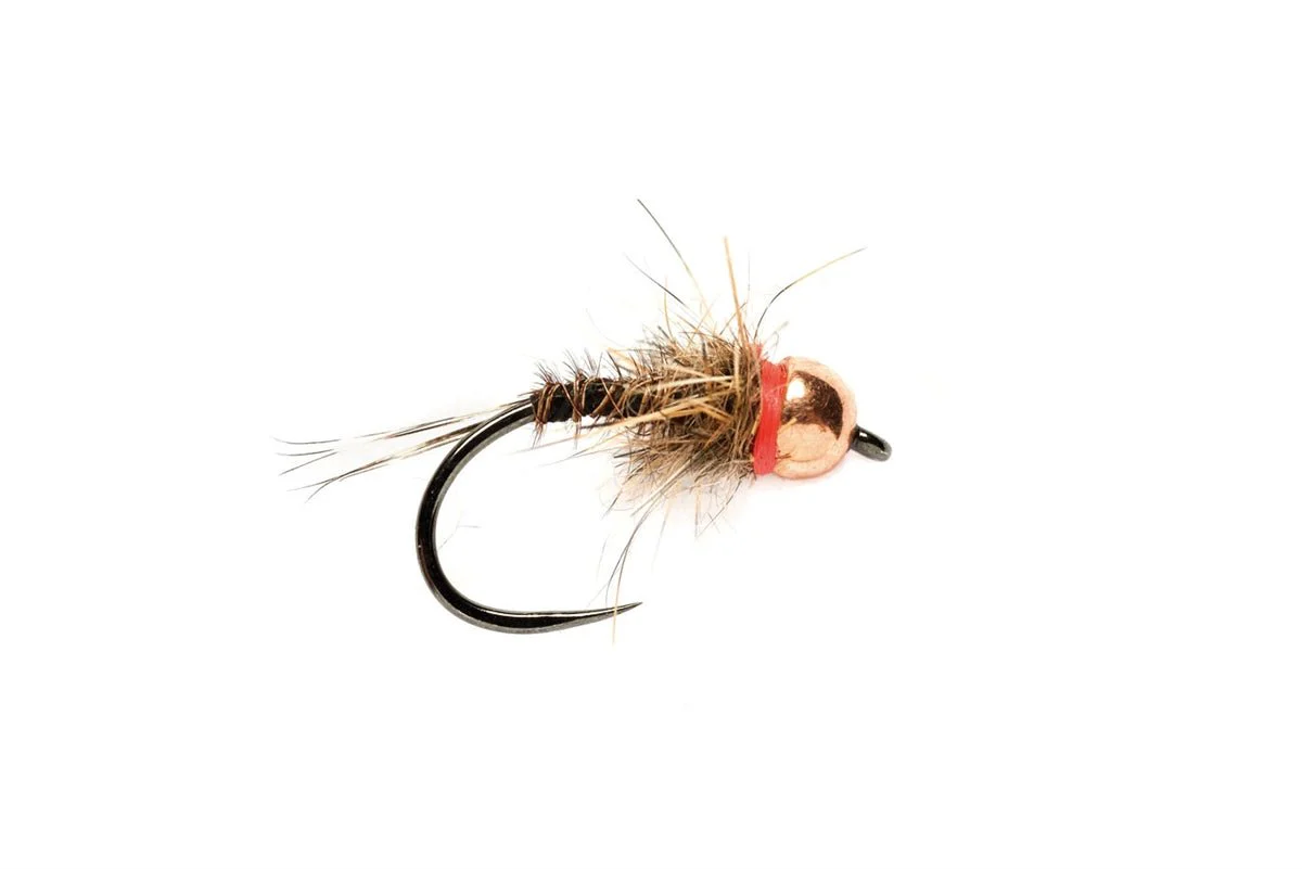Red Neck (TBH) B/L - Image 3