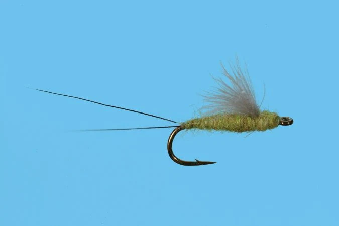 RS2 - Olive - Image 3