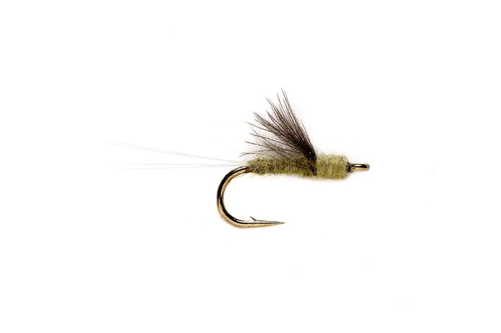 RS2 OLIVE - Image 3