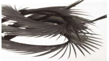 Semperfli Inferno Goose Biots - Image 6