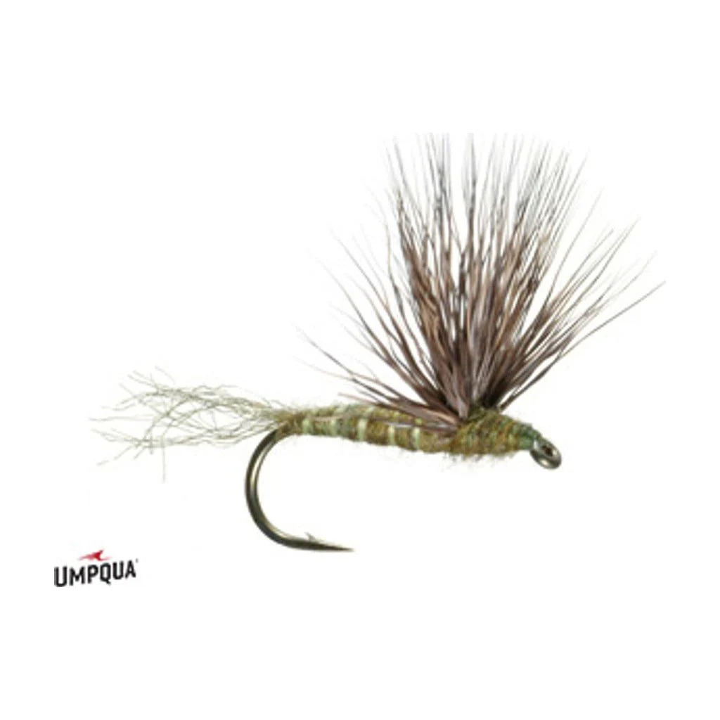 Sparkle Dun - Green Drake