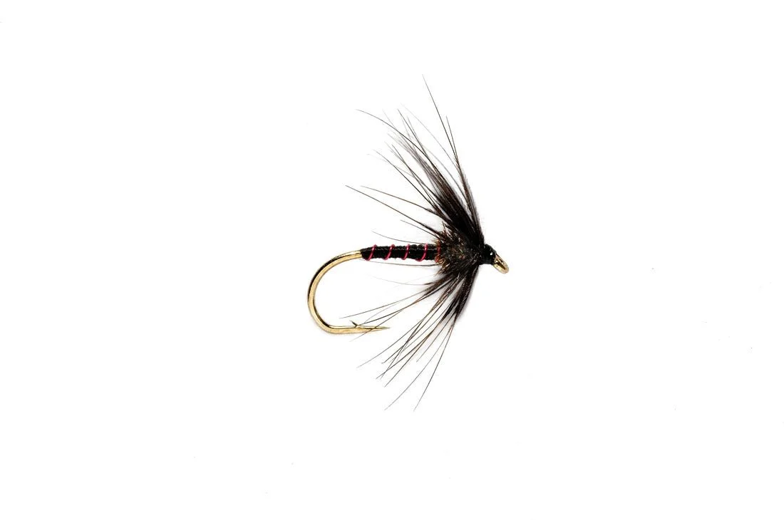Spider Black Magic - Image 3